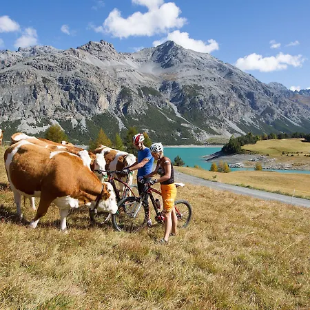 Otel Meuble Garni Della Contea Bormio