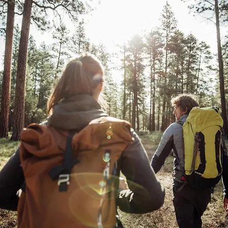 Meuble Garni Della Contea 3*