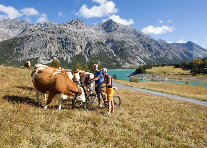 Hotel Meuble Garni Della Contea Bormio
