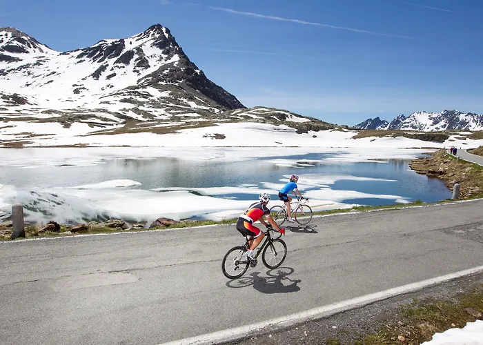 Hotel Meuble Garni Della Contea 3*