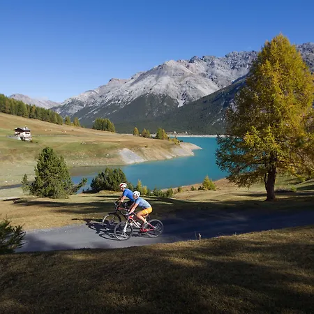 Meuble Garni Della Contea
